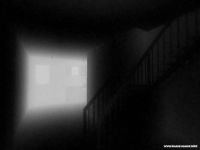 Which / Который Which / Который